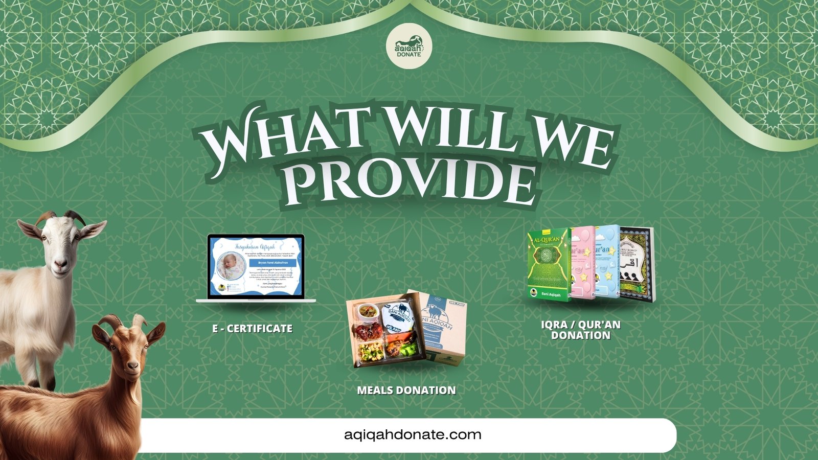 What Will We Provide